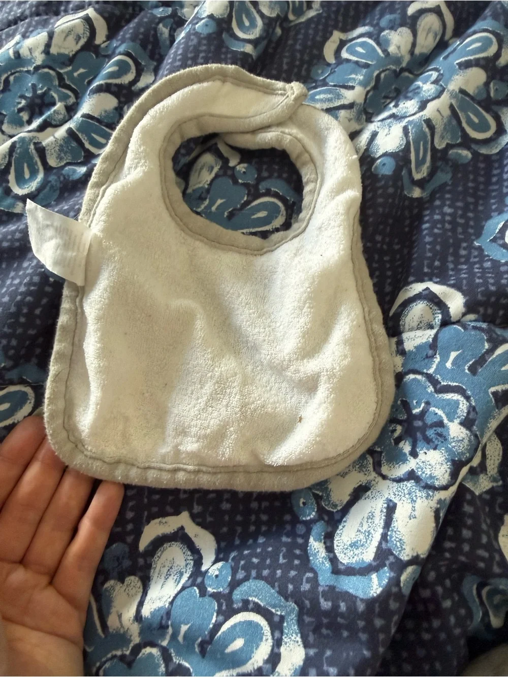 8 baby boy bibs